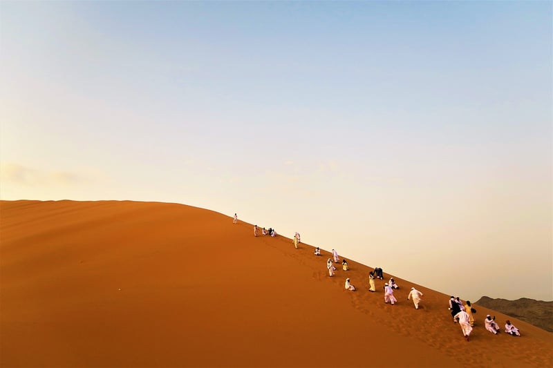 Desert Wonders